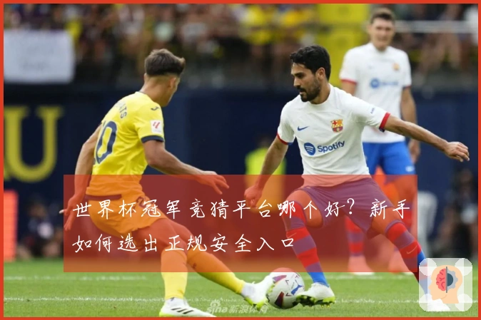世界杯冠军竞猜平台哪个好?新手如何选出正规安全入口